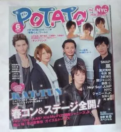 POTATO 2010年6月号 KATーTUN