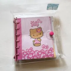 ハローキティ　 miniクリアプロフィールブック　バインダー　日焼け　ヒョウ柄