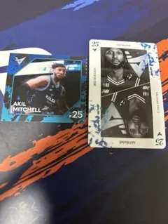 アキルミッチェル 長崎ヴェルカ ステッカー カード セット