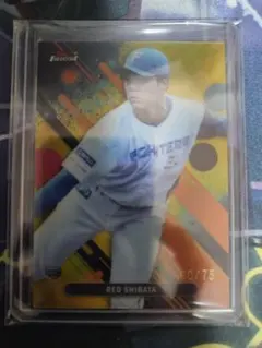 柴田獅子 シリアル