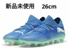 Item thumbnail for item 7af633a6-89b6-4824-8f4b-be19f74f6956