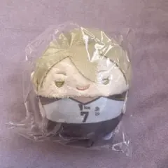 くじメイト　ハイキュー　木葉秋紀