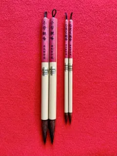 新品小学観峰2本となまえ観峰2本の4本セット