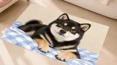 柴犬 黒柴　玄関マット　フロアマット ラグマット