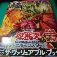 23.⭐️【本のみ 未読品】遊戯王 OCG ヴァリュアブルブック EX6 帯付き