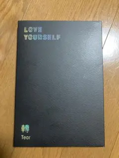 BTS LOVEYOURSELF tear