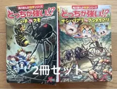 どっちが強い!? ハチ vs クモ サシハリアリ vs グンタイアリ