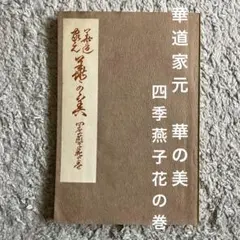 2025年最新】華道家元池坊の人気アイテム - メルカリ