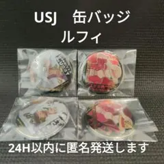 【USJ】ワンピース缶バッジ2024 ルフィ