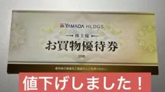 ヤマダデンキお買物優待券　5000円分(500円✖️10)