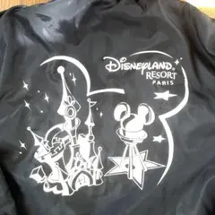 レア　Disneyland Resort Paris フリース(内側)ジャケット