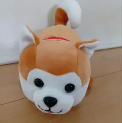 あ*く様 ハッピー秋田犬　ぬいぐるみ　秋田犬　大　小 ハッピー秋田犬 ぬいぐるみ 大小セット - メルカリ