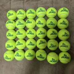 Item thumbnail for item 9a771c2f-ff33-4b3c-b663-5c44de5f9003