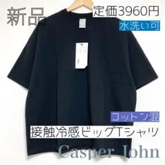 新品　冷感 スタンダード ビッグ 半袖 Tシャツ　綿混 コットン混　完売品のサムネイル