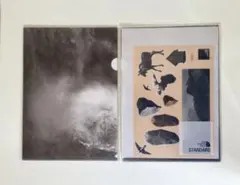 Item thumbnail for item 2d25cd2e-820a-4e71-9253-decc4be41402