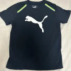 Tシャツ　130 puma