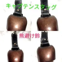 Item thumbnail for item dc447d6f-02b6-4500-8881-be91cca01601