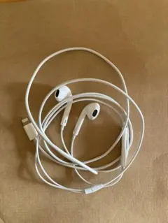 Apple 純正 イヤホン アップル イヤフォン ライトニング 正規品