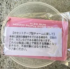 fyop ミュージシャン