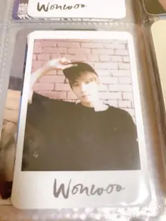 SEVENTEEN セブチ al1 ウルシパ ウォヌ トレカ