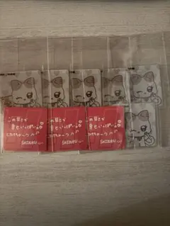 飯田栞月特恋まとめ売り