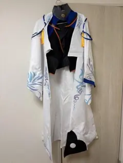 ガンダムSEED DESTINY ステラ 私服 コスプレ衣装 ウィッグ - メルカリ