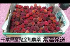 치바현산 완전 무농약 ‼️ 희귀 ❗️ 환상의 열매 ‼️ 마운틴 피치 베이베리 ②