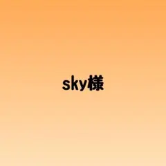 sky様