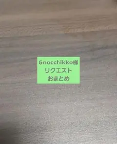 Gnocchikko様 リクエスト 4点 まとめ商品