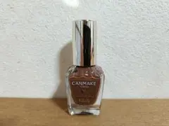 CANMAKE カラフルネイルズ N15