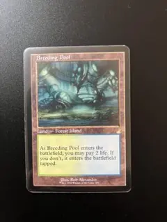 繁殖池 Breeding Pool 旧枠