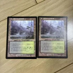 MTG ラノワールの荒原/Llanowar Wastes 4枚セット - メルカリ