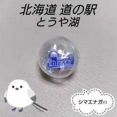 2025年最新】シマエナガ限定ピンズの人気アイテム - メルカリ