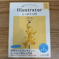 Illustratorしっかり入門 : 知識ゼロからきちんと学べる!