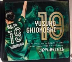 明治安田J2・J3百年構想リーグ第14節 徳島ヴォルティスタオル9枚
