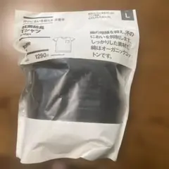 抗菌防臭 Tシャツ ポケット付き Lサイズ