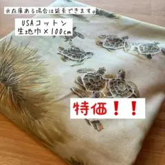 《USAコットン》陸亀の家族 カメ かめ ユニーク