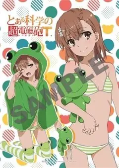 御坂美琴 フード⭐︎るっく ゲコ太ver フィギュア 特典タペストリー