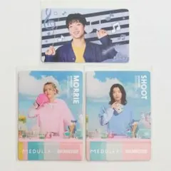 BUDDiiS MORRIE SHOOT トレカ MEDULLA ヘアカルテ