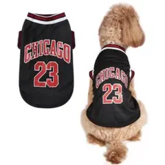 Item thumbnail for item 4f2163cb-1c97-45dd-9235-995f357bf2b5