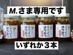 ハチミツ 日本蜜蜂の蜂蜜 巣箱違いの花粉入りはちみつ 奥山の奥 2026
