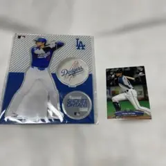 バ*ラ様 大谷翔平