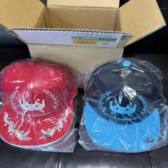 2025年最新】インベーダーキャップ ゲームセンターあらしの人気