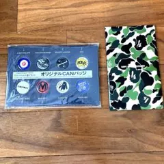 Item thumbnail for item 07074fa7-d7e5-4b15-9ef2-c4a1a5ebf9ec