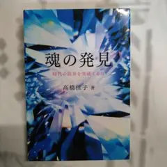 魂の発見 : 時代の限界を突破する力