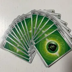 ポケモンカード 基本くさエネルギー 16枚セット