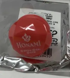 リングライト　望月穂波