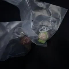 【トトロンヌ♡様専用ページ】こびとづかんめじるしマスコット(スモモノウチ）