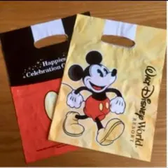 ディズニーワールド　ショップ袋