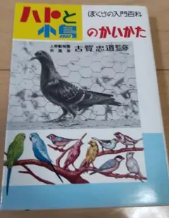 ssn様 リクエスト 2点 まとめ商品